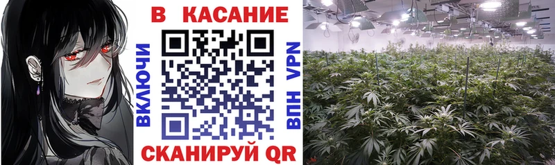 Виды наркотиков купить Тутаев Галлюциногенные грибы Канабис COCAIN А ПВП
