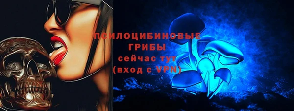 дживик Навашино